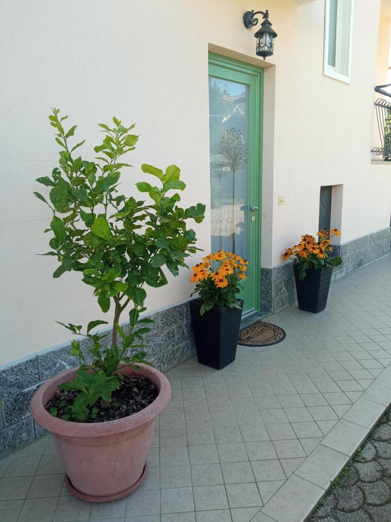 B&B L'Ortensia Vignolo Exterior photo